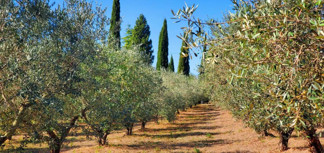 La Volpaia 1521 Villa Barberino di Val dʼElsa Kültér fotó
